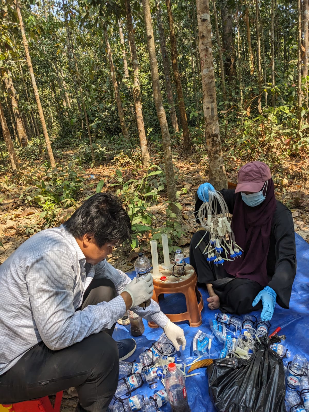 Agarwood Research Field Team