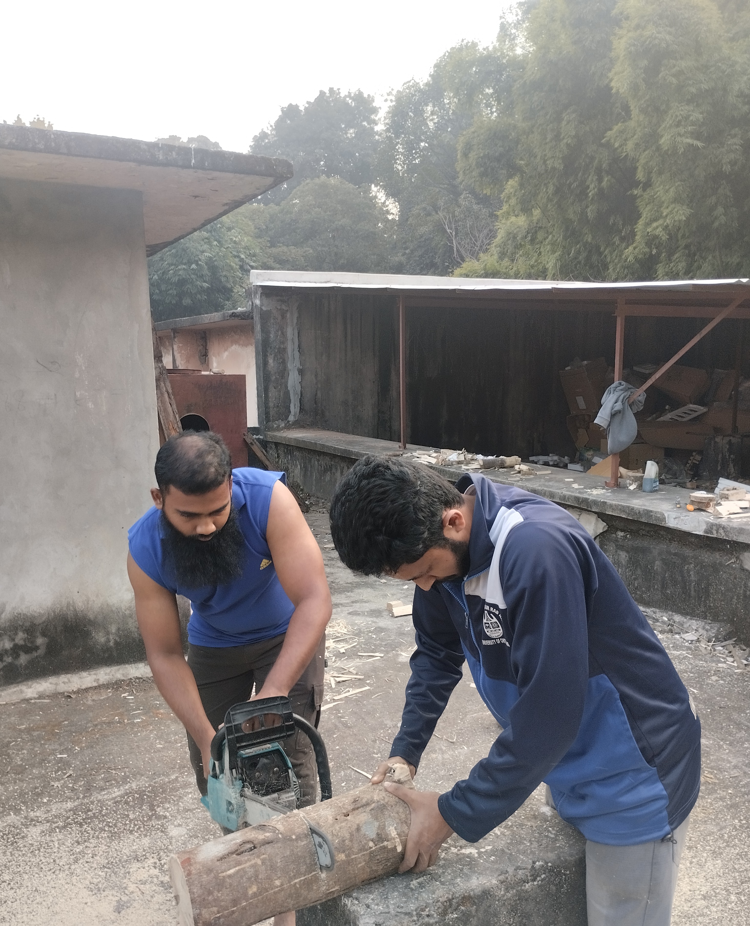 কর্তনকৃত গাছ প্রসেসিং